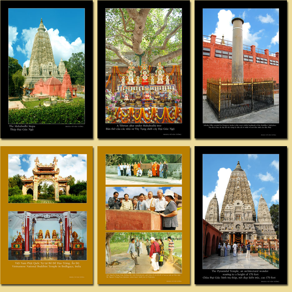 ThapDaiGiacNgo